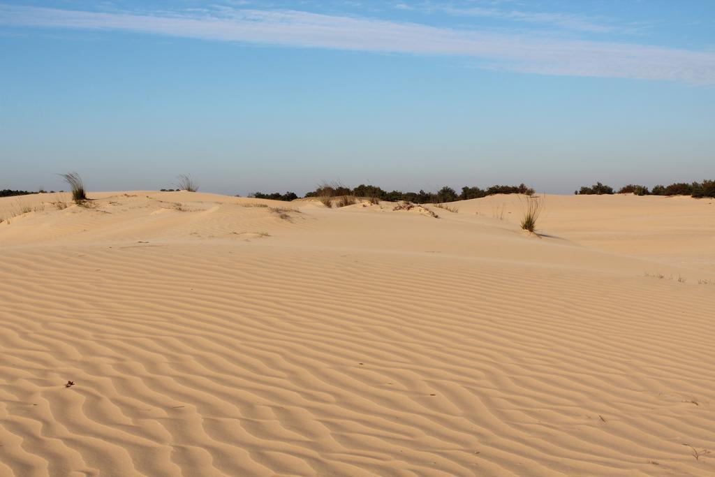 Natuurpoort Van Loon Loon op Zand Kültér fotó